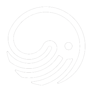 Création de site internet à Bordeaux 13 poulpemedia le logo en blanc